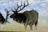 advertiZe your service with hunttheworld.com, a division of Global AdvertiZing