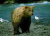 advertiZe your service with hunttheworld.com, a division of Global AdvertiZing